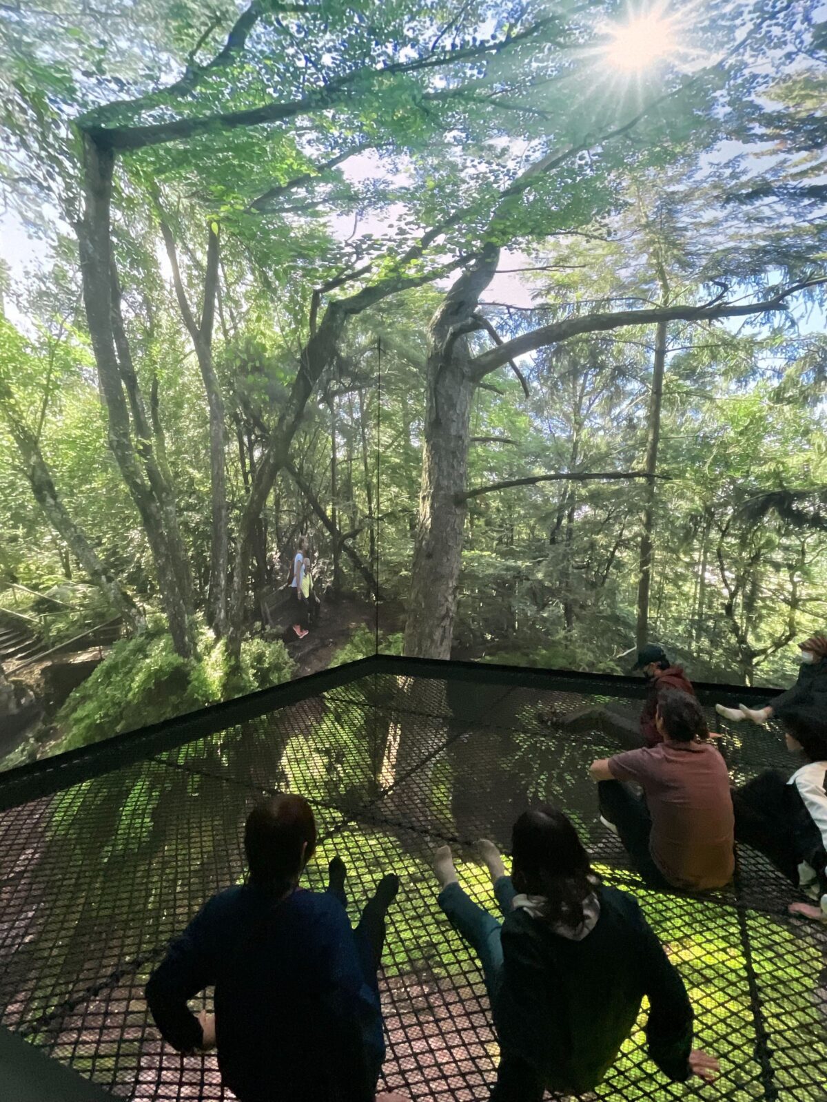 ルクセンブルグパビリオン〜親子で楽しめる没入型の自然体験。建物の