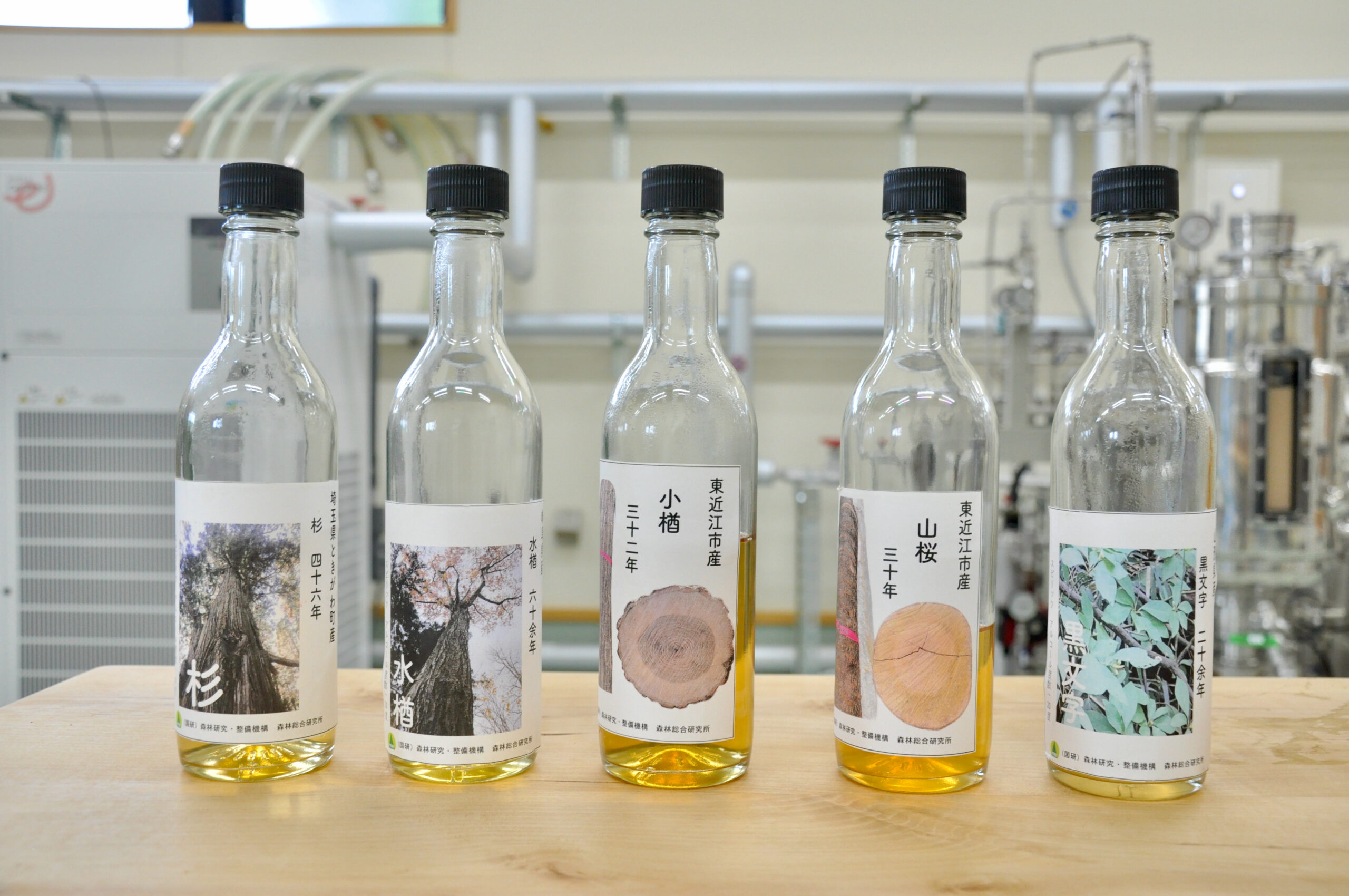 世界初、「木」から造るお酒とその可能性【森林総合研究所】