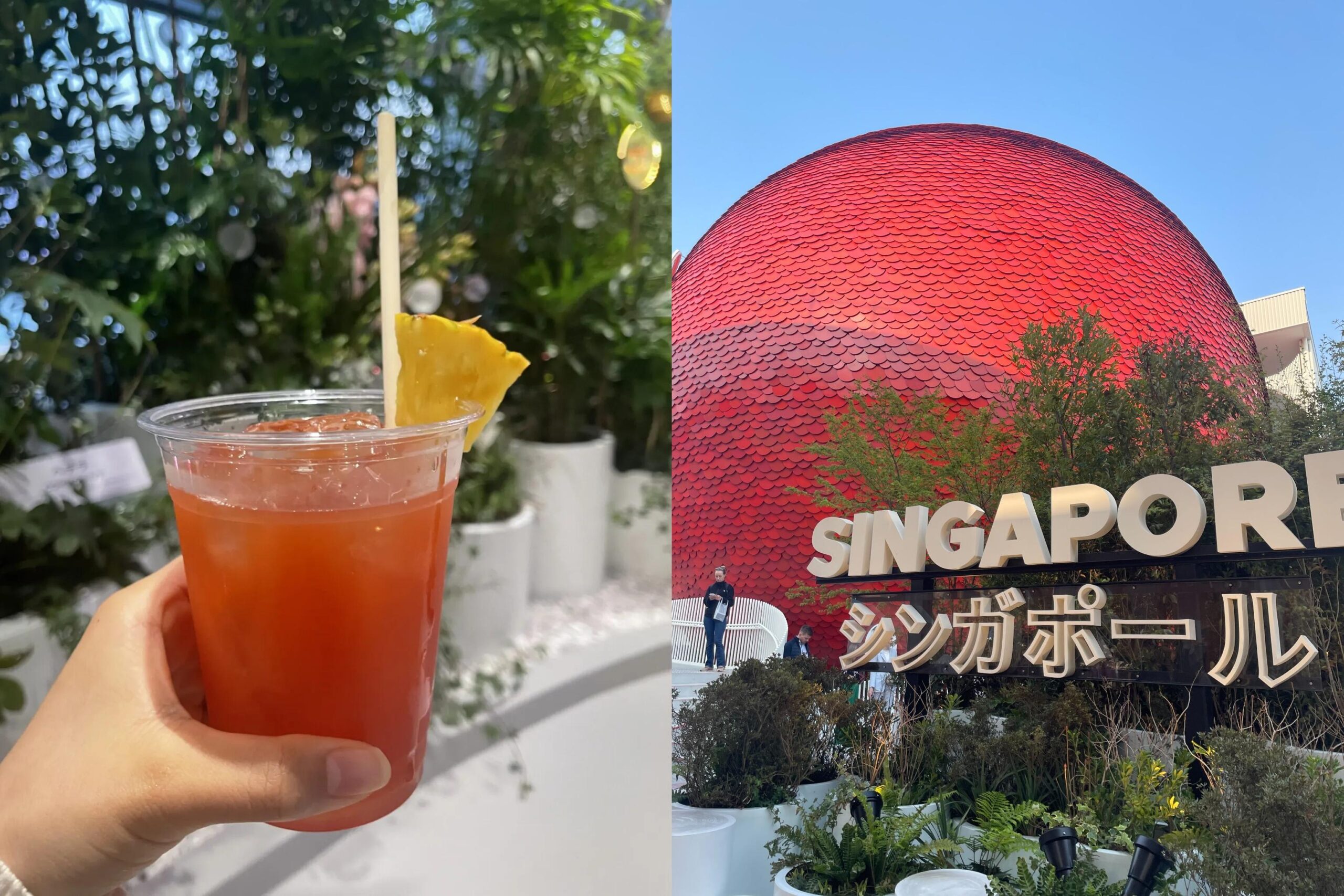 【大阪万博】暑い夏にぴったり。シンガポール館のバーで本場の「シンガポールスリング」を楽しもう